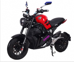 Electric motorcycle